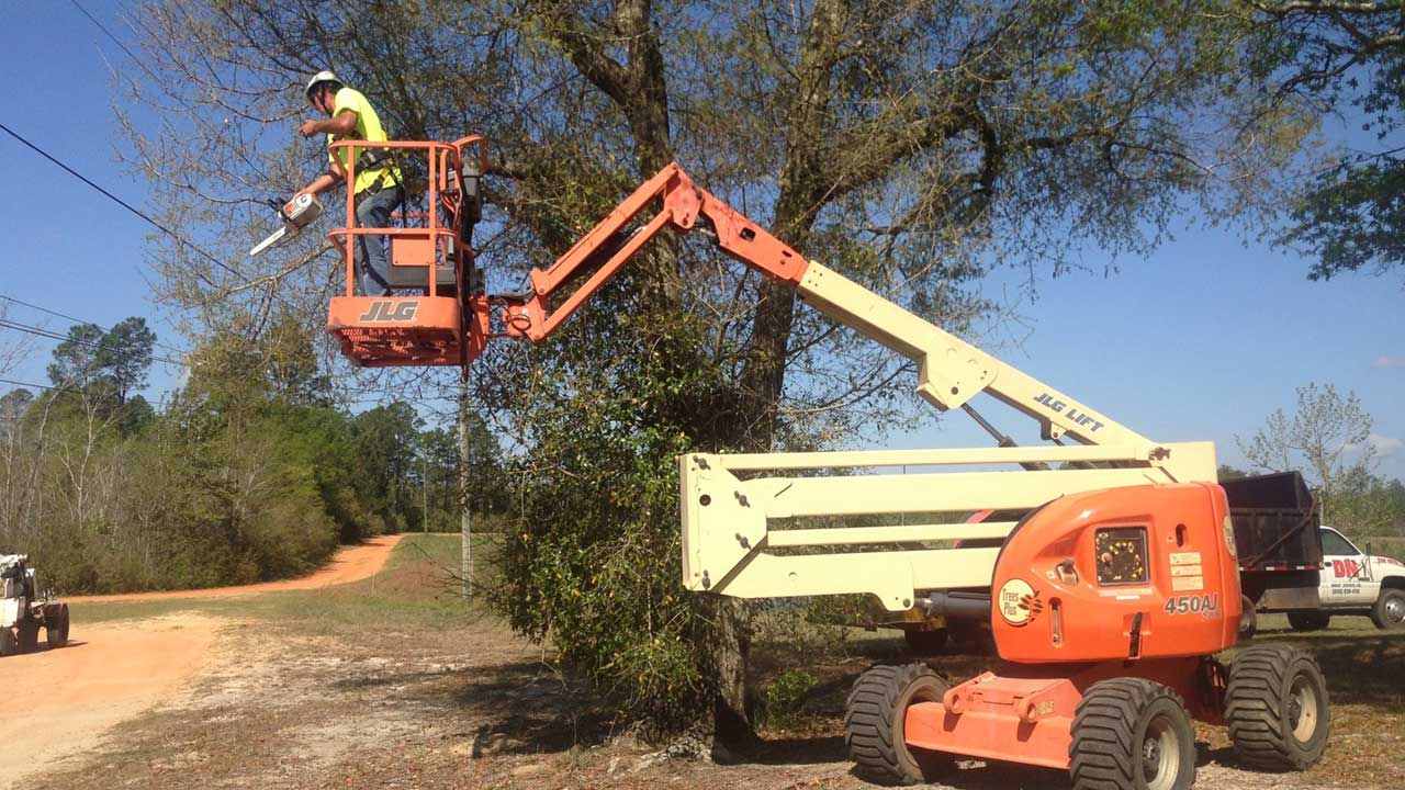 navarre tree trimming services