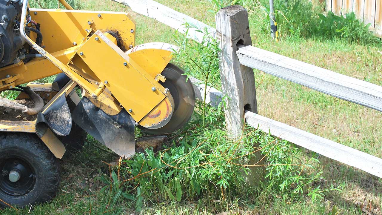 Navarre Stump Grinding 